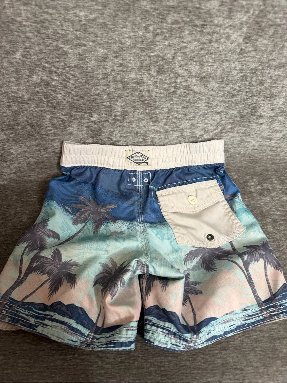 SET - Boys Blue Palm Tree Swim Trunks & Swim Shirt